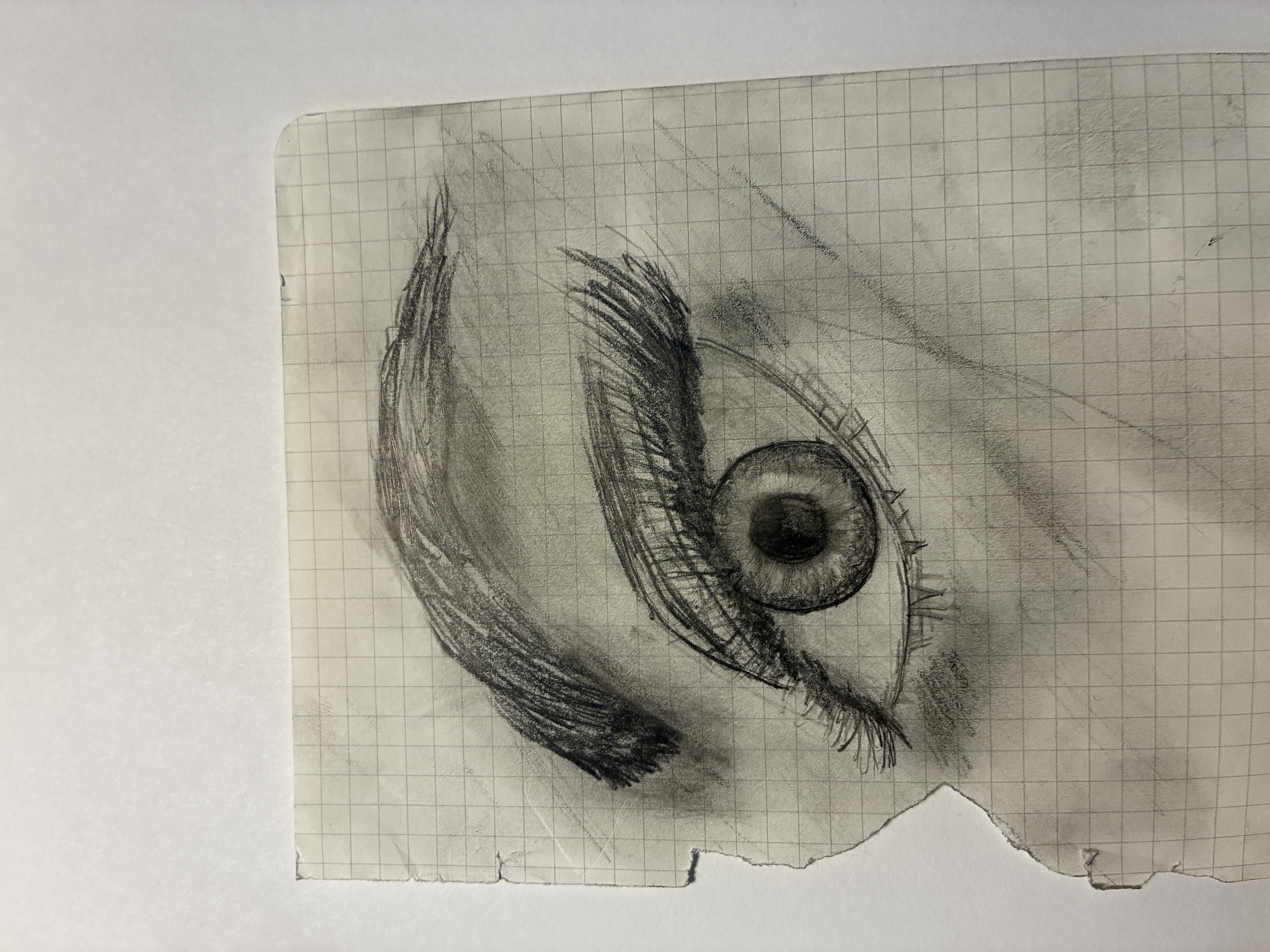 Artwork 5